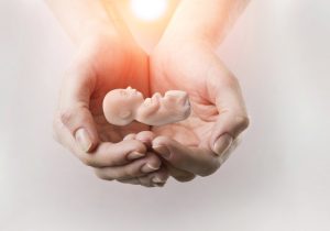 Congenital malformations in fetuses
