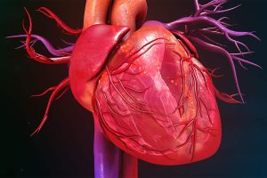 Causes of cardiomyopathy during pregnancy and childbirth