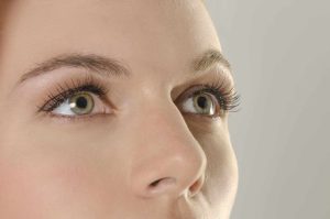 Causes of fly eye fly
