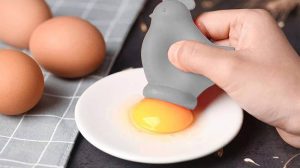 Egg yolk vitamins