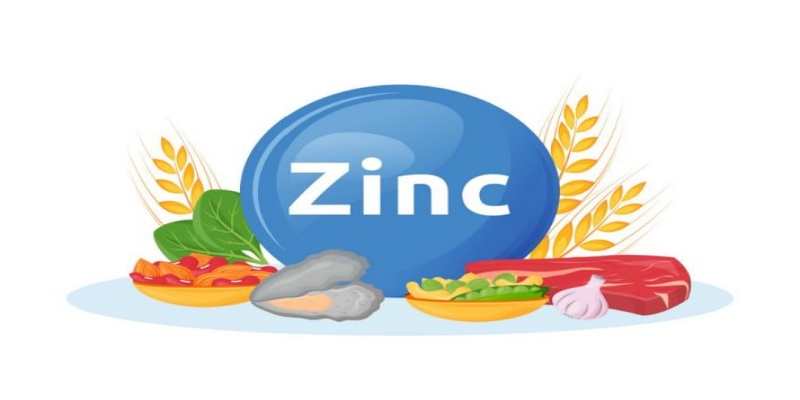 What are the body's needs for zinc?