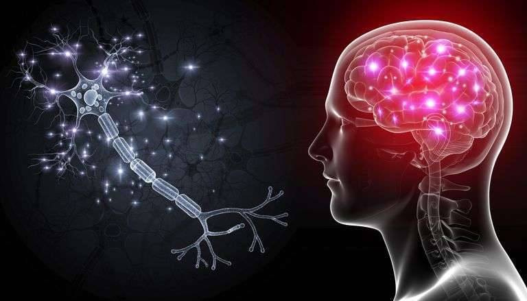 زيادة الشحنات الكهربائية في الدماغ 1